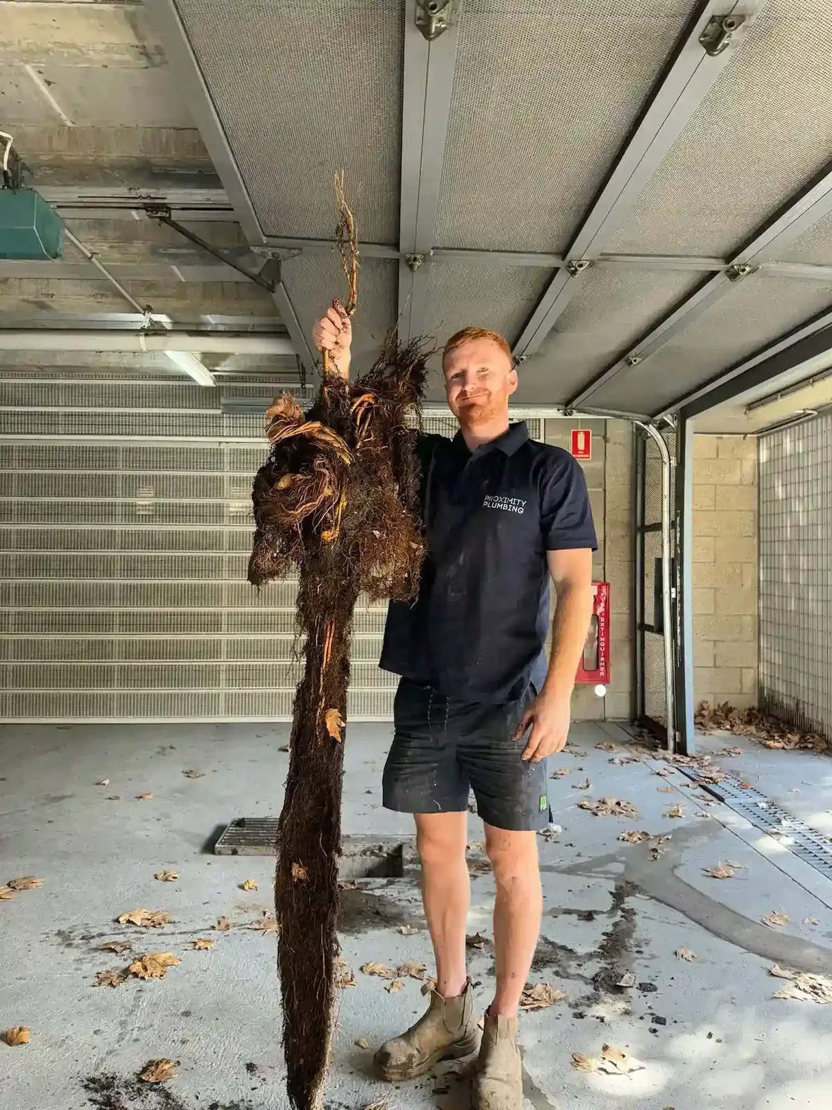 Root growth removed from a drain under a garage slab